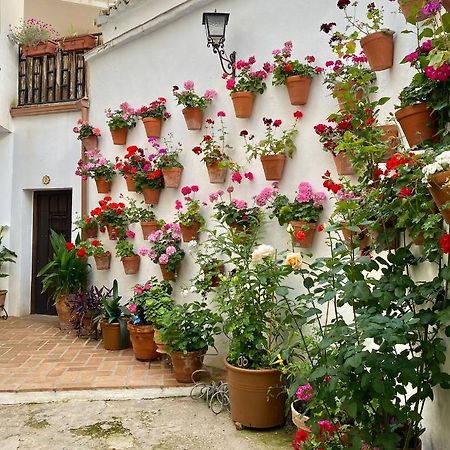 Ferienwohnung Amal Casa De Huespedes Córdoba Exterior foto