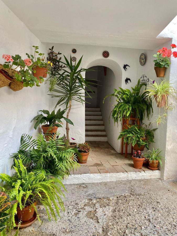 Ferienwohnung Amal Casa De Huespedes Córdoba Exterior foto