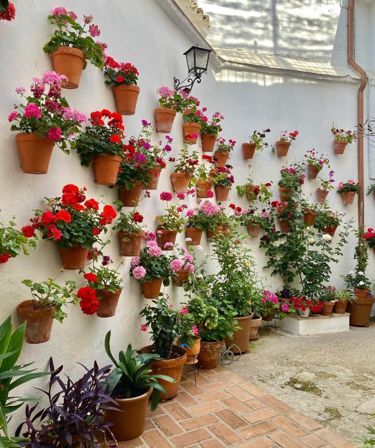 Ferienwohnung Amal Casa De Huespedes Córdoba Exterior foto